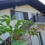Apartment Mir